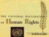 Human Rights.jpg